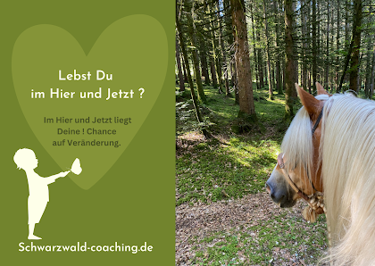 Schwarzwald - Coaching / Psychologische Beratung Rotzler Str. 11, 79730 Murg, Deutschland