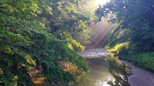 East Branch Chagrin River