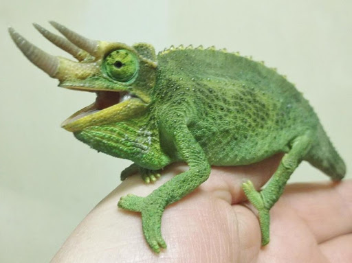 Pet Supply Store «Over Bridge Pet Supplies», reviews and photos, 24 Seneca St, Hornell, NY 14843, USA