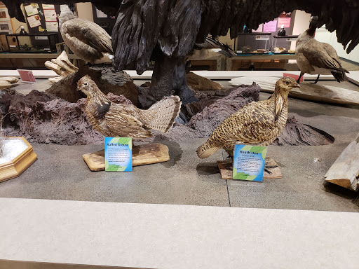 Nature Preserve «Bartlett Nature Center», reviews and photos, 2054 W Stearns Rd, Bartlett, IL 60103, USA