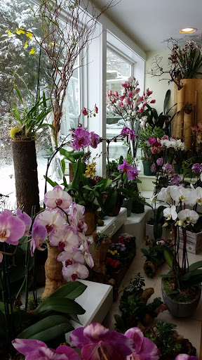 Florist «Art of Flowers», reviews and photos, 144 King St, Chappaqua, NY 10514, USA