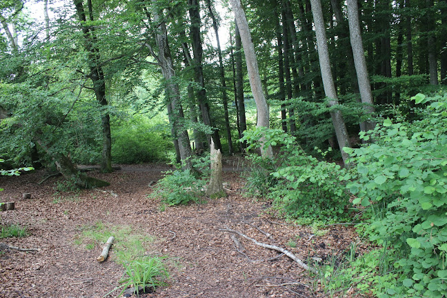 Feuerstelle am Spitz - Campingplatz