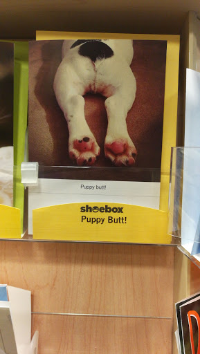 Book Store «Barnes & Noble», reviews and photos, 230 Main St, White Plains, NY 10601, USA