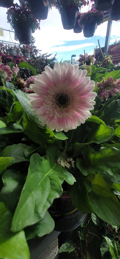 Home Improvement Store «The Home Depot», reviews and photos, 2600 41st Ave, Soquel, CA 95073, USA