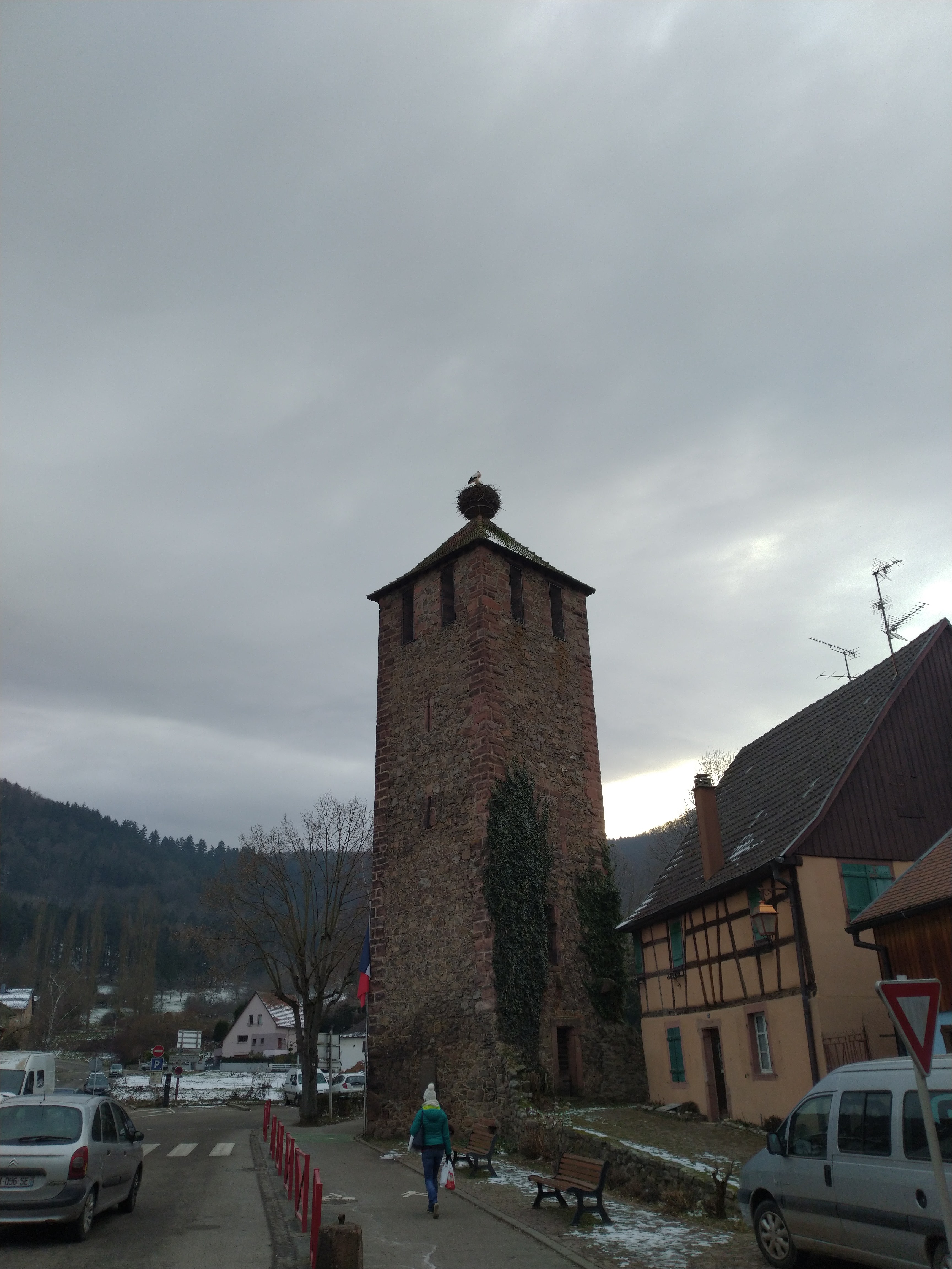 Photo n° 1 de l'avis de Franck. fait le 03/03/2021 à 16:08