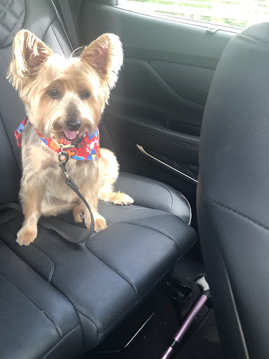 Pet Supply Store «Pet Supplies Plus», reviews and photos, 3205 W 115th St, Merrionette Park, IL 60803, USA