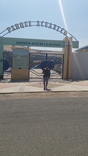 Opinii despre Estadio Heroes del Alto de la Alianza în Tacna - Campo de fútbol