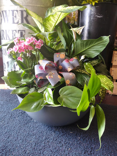 Florist «Barnes House Of Flowers», reviews and photos, 866 N Colony Rd, Wallingford, CT 06492, USA