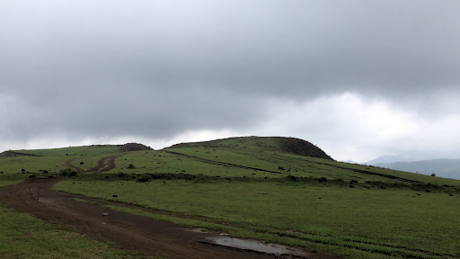 Top 18 trang trí cửa hàng Huyện Ba Tơ Quảng Ngãi 2022