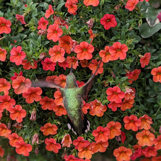 Bakery «Glen Haven General Store», reviews and photos, 7499 Co Rd 43, Glen Haven, CO 80532, USA