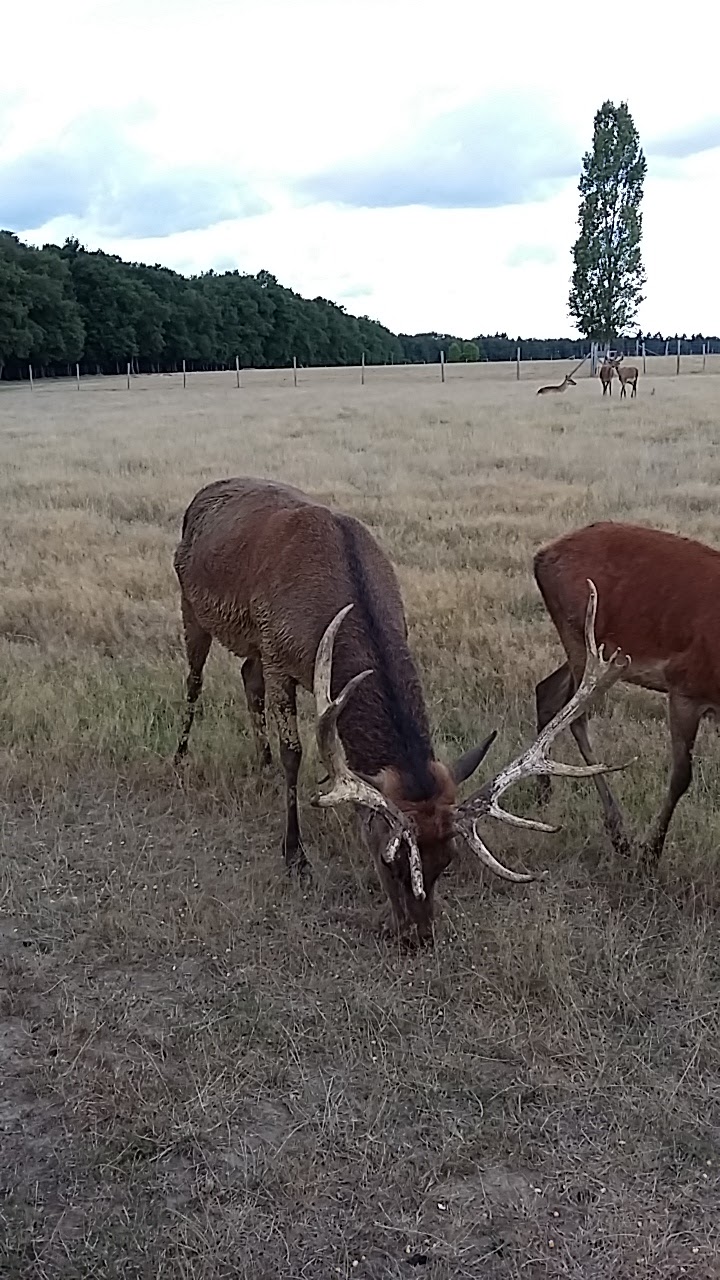 Photo n° 2 de l'avis de Frédéric. fait le 13/08/2017 à 11:14
