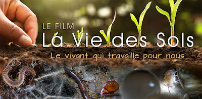 Philippe LEBEAUX à Saint-Pierre-la-Palud
