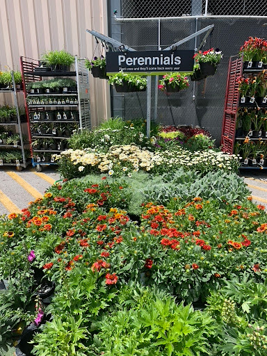 Home Improvement Store «The Home Depot», reviews and photos, 2965 Decherd Blvd, Winchester, TN 37398, USA