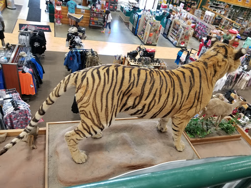 Gun Shop «Vance Outdoors», reviews and photos, 150 Arrowhead Dr, Hebron, OH 43025, USA