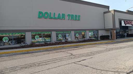 Dollar Store «Dollar Tree», reviews and photos, 723 W State Rte 22, Lake Zurich, IL 60047, USA
