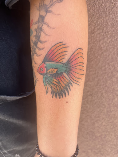 Explore dream catcher tattoo idea, creative tattoo ideas in Albuquerque, available at Holy Fool Tattoo Club