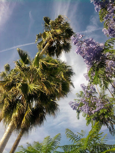 Joseph S. Pearl, LL.M., 1400 Chester Ave i, Bakersfield, CA 93301, Estate Planning Attorney