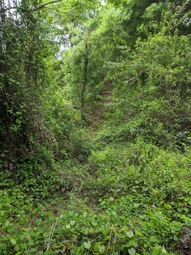 Recreation Center «Balm Park Recreation Center», reviews and photos, 14747 Balm Wimauma Rd, Wimauma, FL 33598, USA