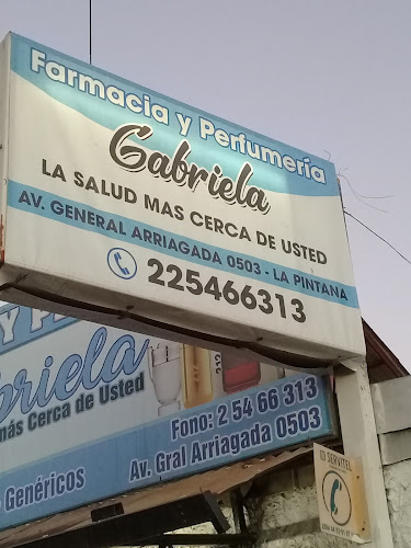 Opiniones de Farmacia Gabriela en La Pintana - Farmacia