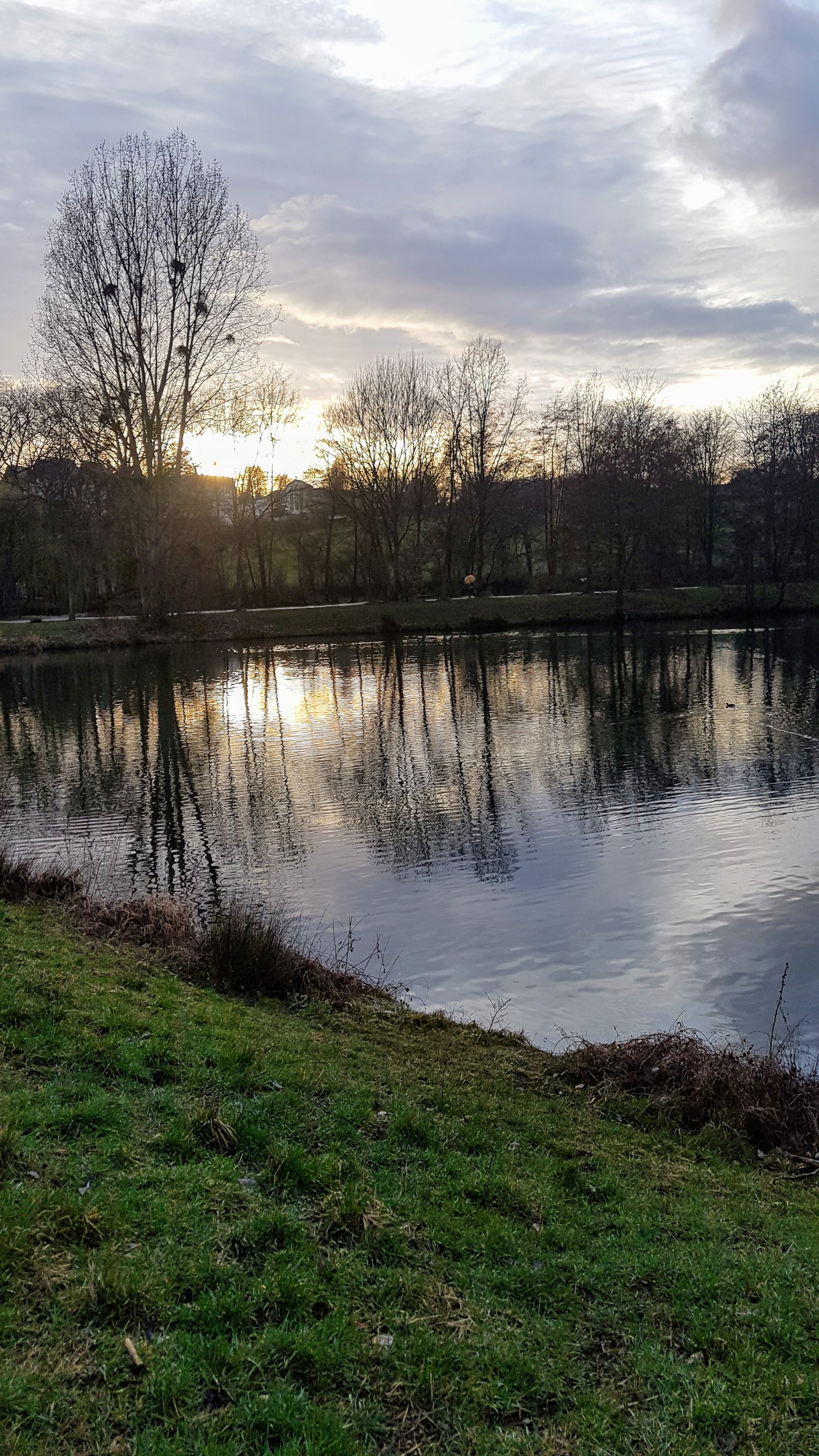 Photo n° 14 de l'avis de Jean-marie.o fait le 06/03/2019 à 12:51