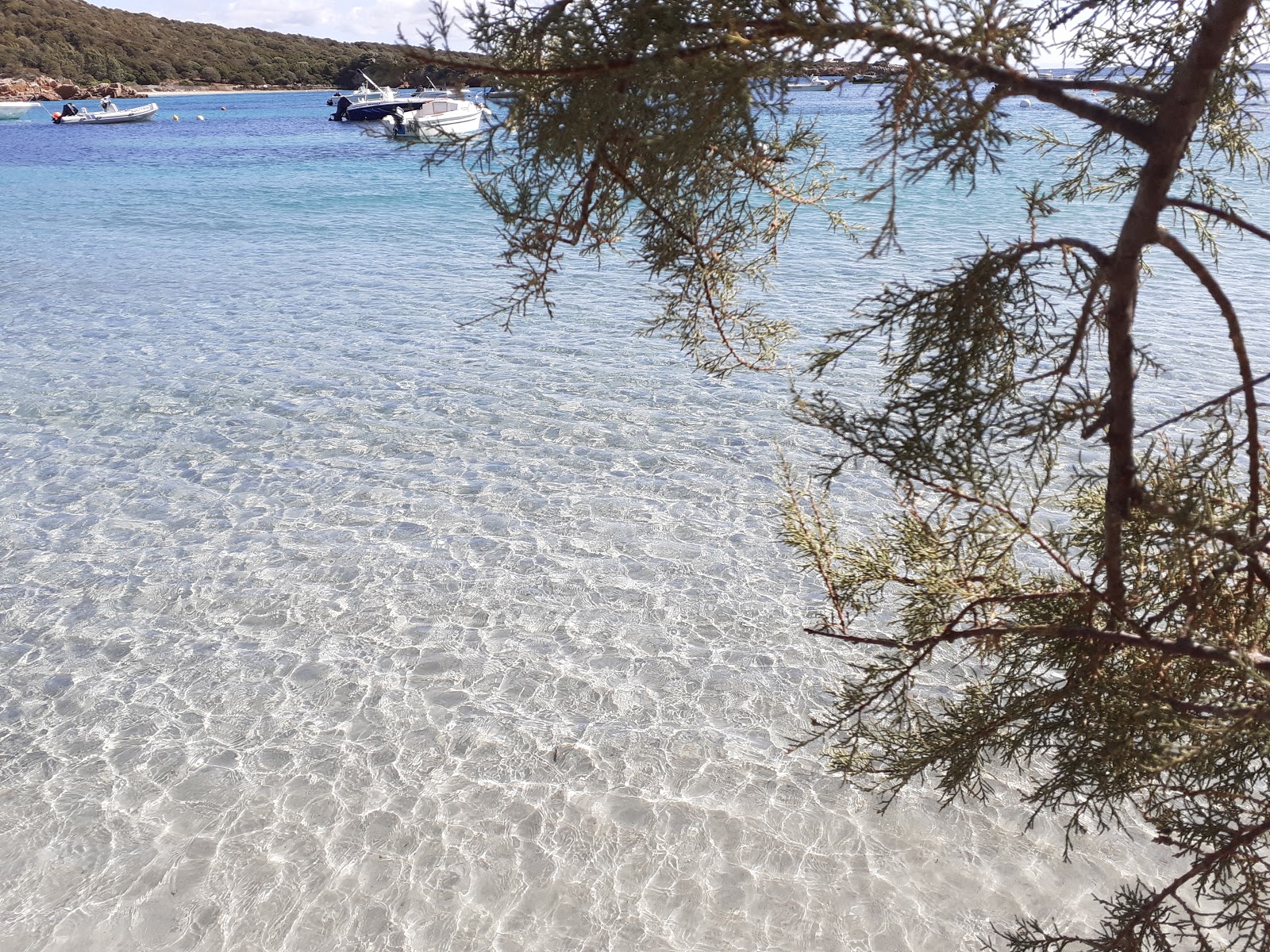 Plage de Furnellu II'in fotoğrafı turkuaz saf su yüzey ile