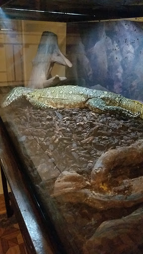 Pet Store «Something Fishy Pets», reviews and photos, 29 Towne Centre Ln, Fox Lake, IL 60020, USA