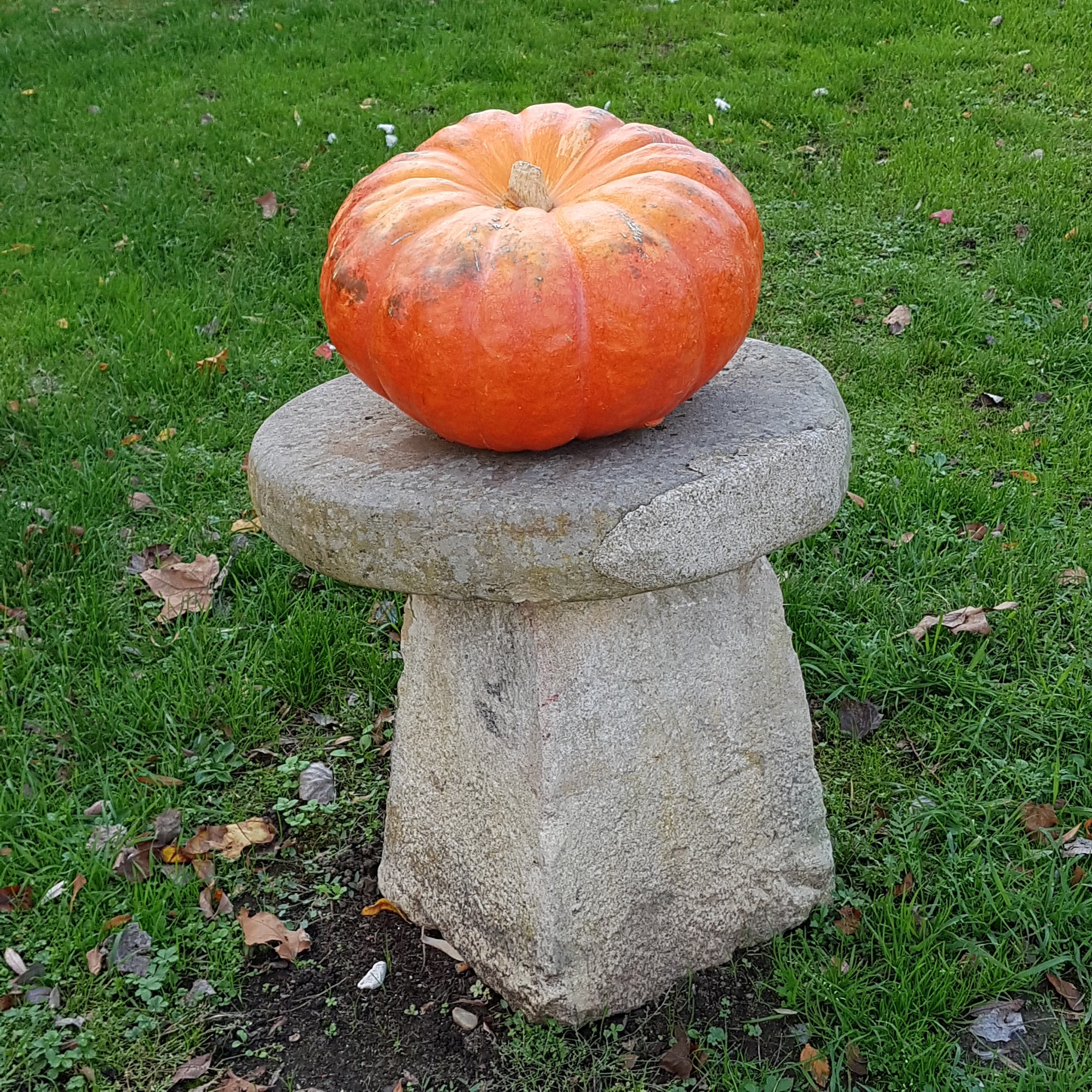 Photo n° 6 de l'avis de Catherine.u fait le 12/11/2019 à 06:20