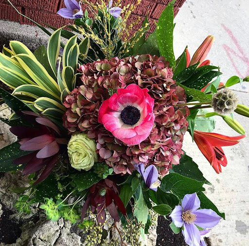 Florist «Halsted Flowers, LLC», reviews and photos, 2725 N Halsted St, Chicago, IL 60614, USA