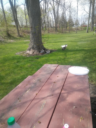 Park «Labo Park», reviews and photos, 22215 S Huron River Dr, Rockwood, MI 48173, USA