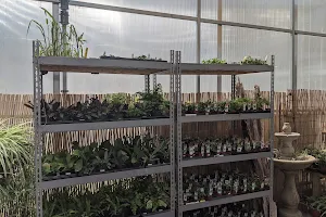 Hodgson Produce & Greenhouses image