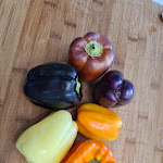 Photo n° 1 de l'avis de Visual.i fait le 16/05/2022 à 11:26 pour Biodélice Porto Vecchio à Porto-Vecchio