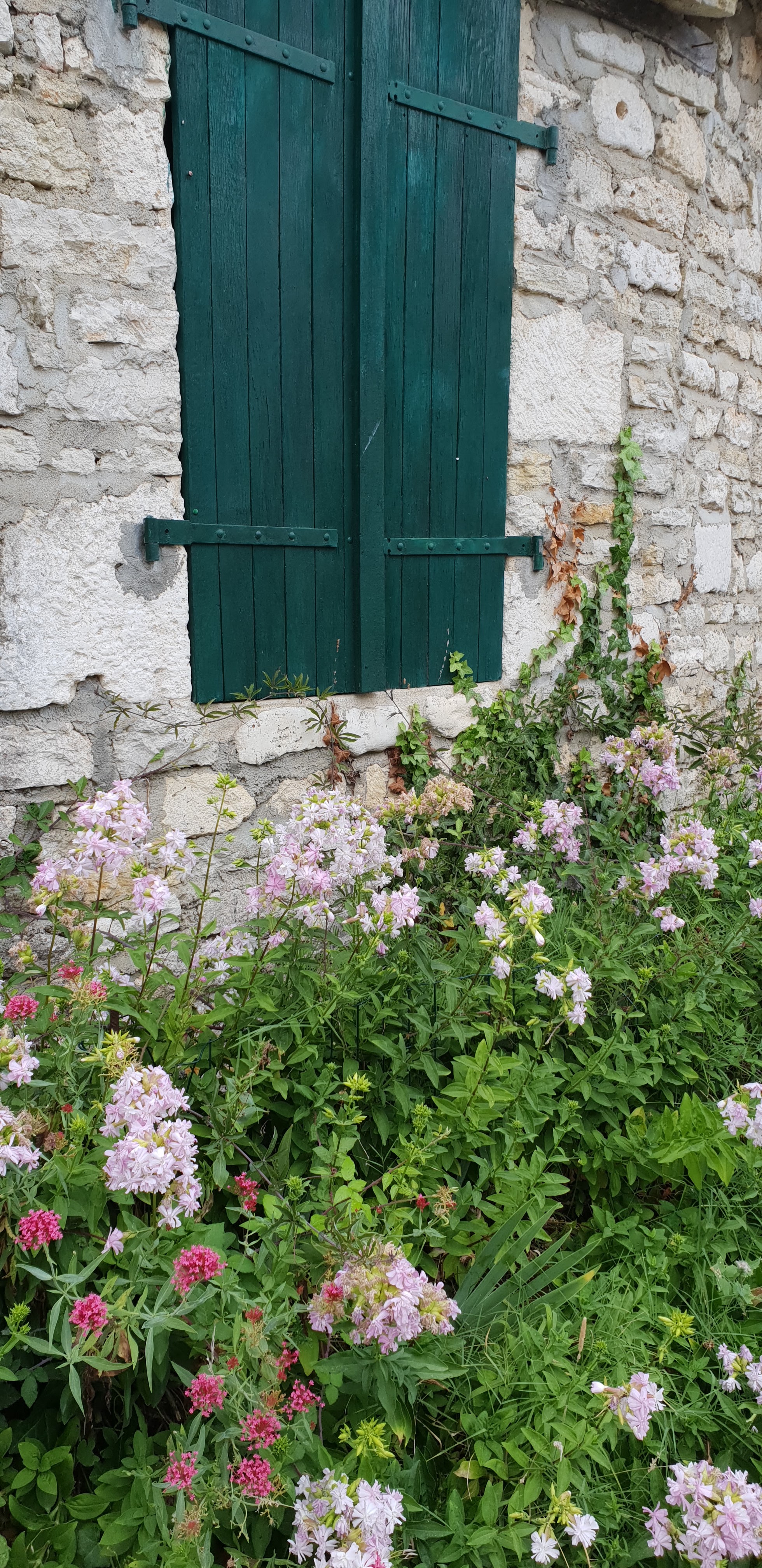 Photo n° 6 de l'avis de Martine.h fait le 19/07/2018 à 18:50