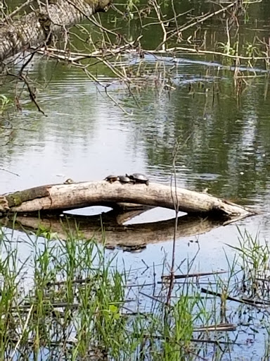 Nature Preserve «Tamarack Nature Center», reviews and photos, 5287 Otter Lake Rd, White Bear Township, MN 55110, USA