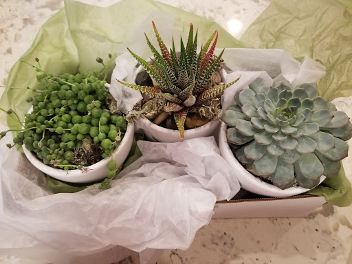 Florist «Flowers Washougal», reviews and photos, 1203 E St, Washougal, WA 98671, USA