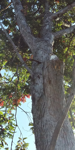 Park «Simonds Park», reviews and photos, 10 Bedford St, Burlington, MA 01803, USA