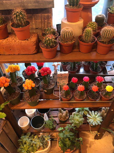 Farm «B & B Flower Farm», reviews and photos, 668 Jones Hill Rd, West Haven, CT 06516, USA