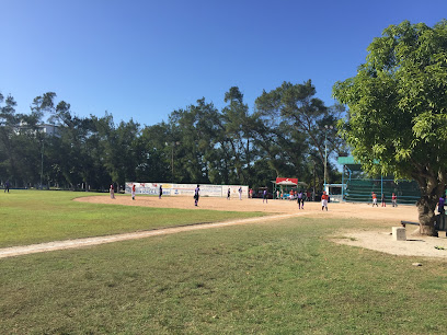 Campo de beisbol y softball