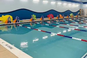 Aqua Tots Swim Schools Holland image