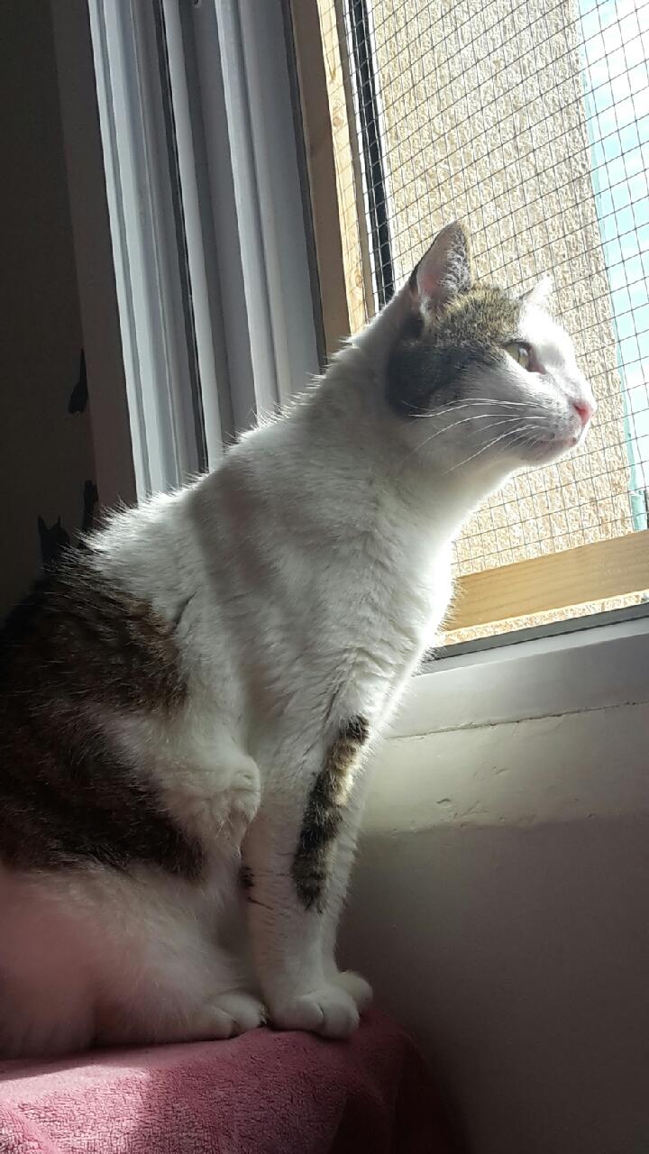 Photo n° 1 de l'avis de Sylvie. fait le 24/05/2018 à 20:04