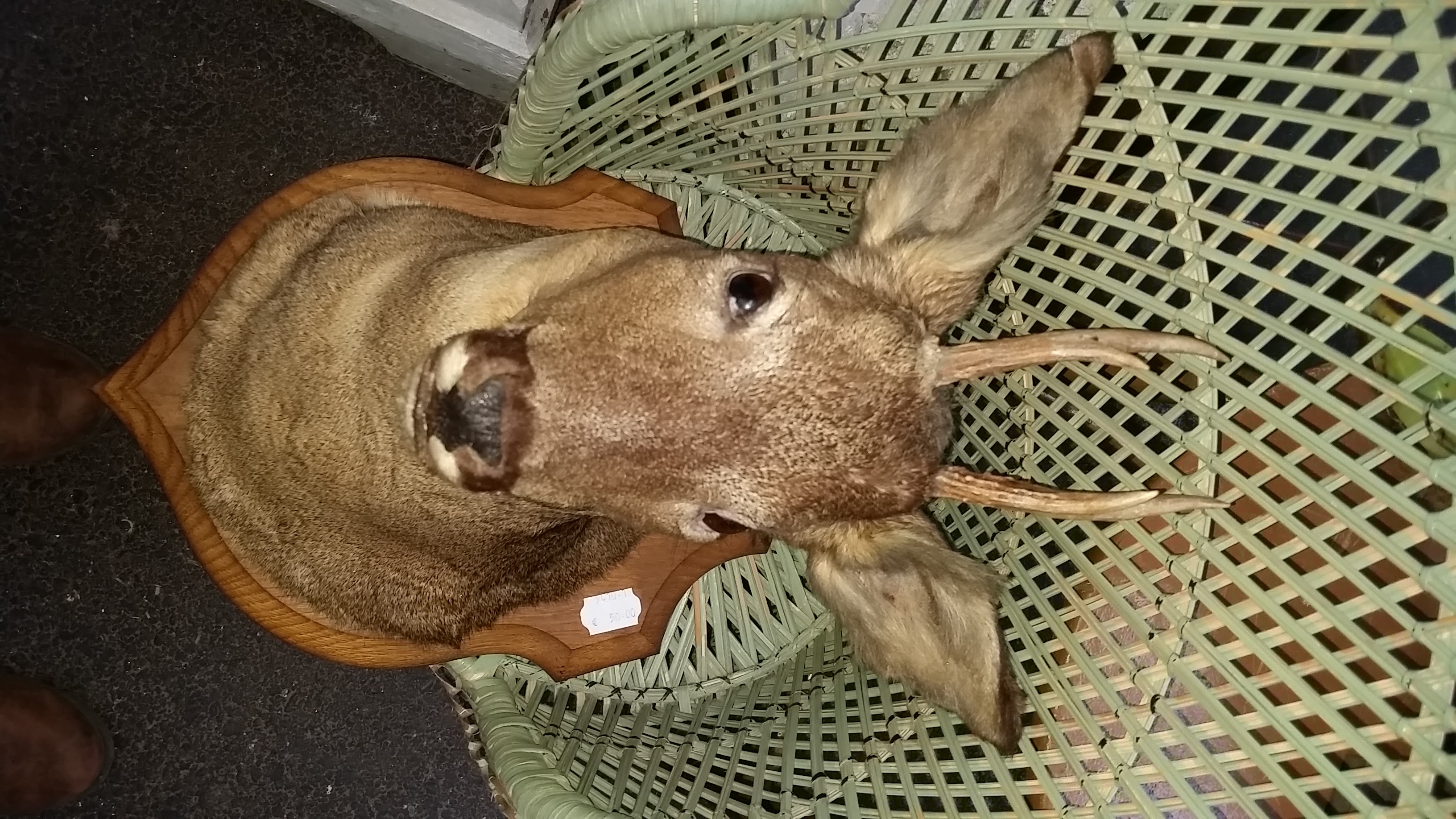 Photo n° 3 de l'avis de Judi.o fait le 12/01/2018 à 12:20