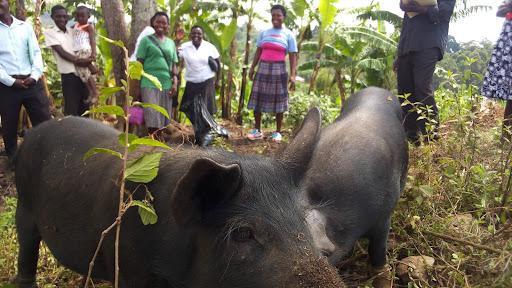 Thrift Store «The Salvation Army», reviews and photos