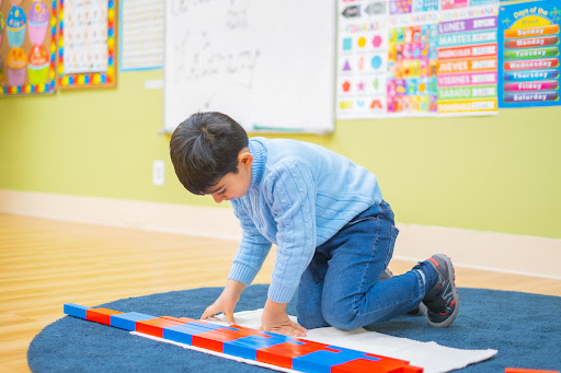 Day Care Center «Safari Kid daycare», reviews and photos, 34899 Newark Blvd, Newark, CA 94560, USA