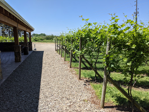 Winery «Arundel Cellars & Brewing Co», reviews and photos, 11727 E Main St, North East, PA 16428, USA