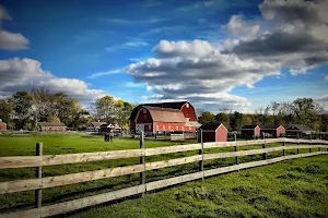 Maybury Farm image