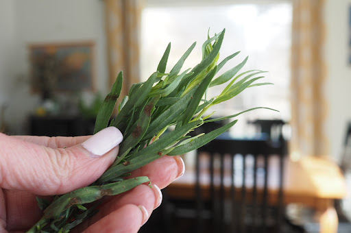 Health Food Store «Sunshine Health Foods», reviews and photos, 111 W 535 S, Cedar City, UT 84720, USA