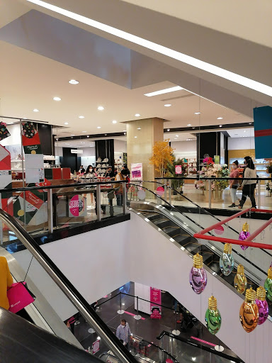 Asus shops in Mexico City