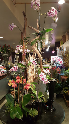 Florist «Pistils & Petals», reviews and photos, 1060 Alton Rd, Miami Beach, FL 33139, USA