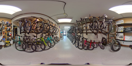Bicycle Store «Bicycle Experience», reviews and photos, 1601 S Tejon St, Colorado Springs, CO 80905, USA