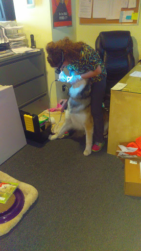 Pet Supply Store «The Urban Pet», reviews and photos, 7515 Beverly Blvd, Los Angeles, CA 90036, USA