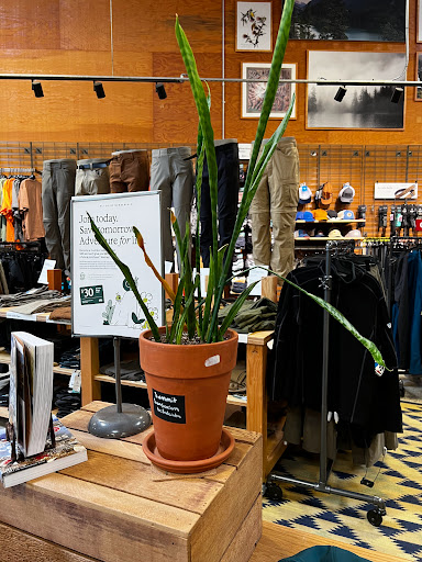 Camping Store «REI», reviews and photos, 240 Andover Park W, Tukwila, WA 98188, USA